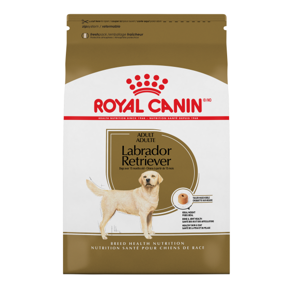 RC BHN Labrador Retriever 15 lb