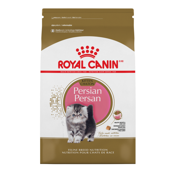 RC FBN Persian Kitten 3 lb