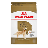 RC BHN Golden Retriever 30 lb