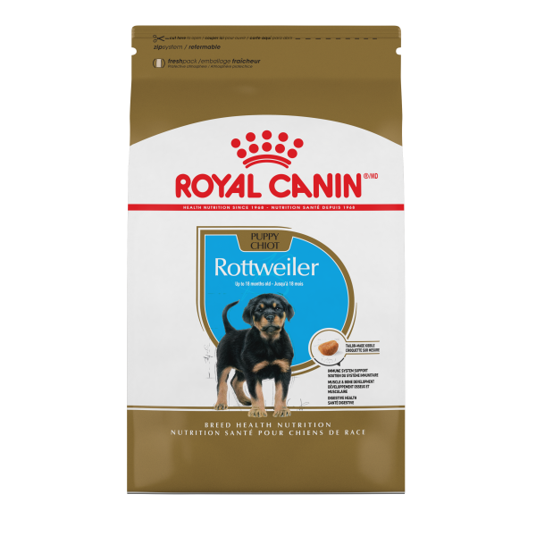 RC BHN Rottweiler Puppy 30 lb