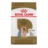 RC BHN Yorkshire Terrier 2.5 lb