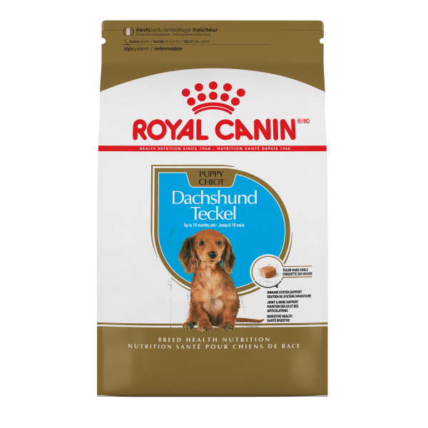 RC BHN Dachshund Puppy 2.5 lb