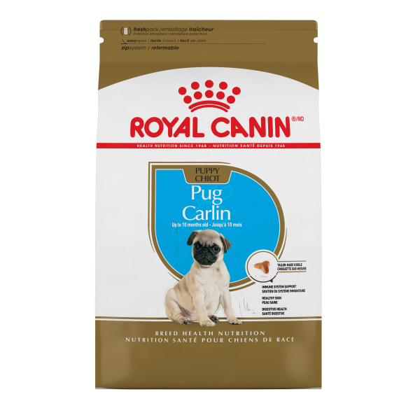 RC Pug Puppy 2.5 lb