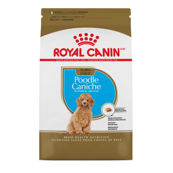 RC BHN Poodle Puppy 2.5 lb